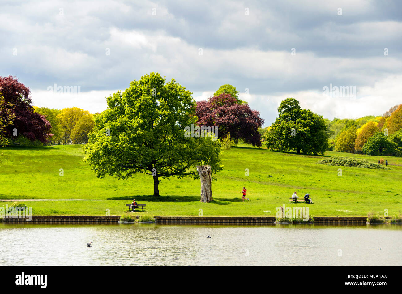 Highgate ponds in Parliament hill - London, England Stock Photo