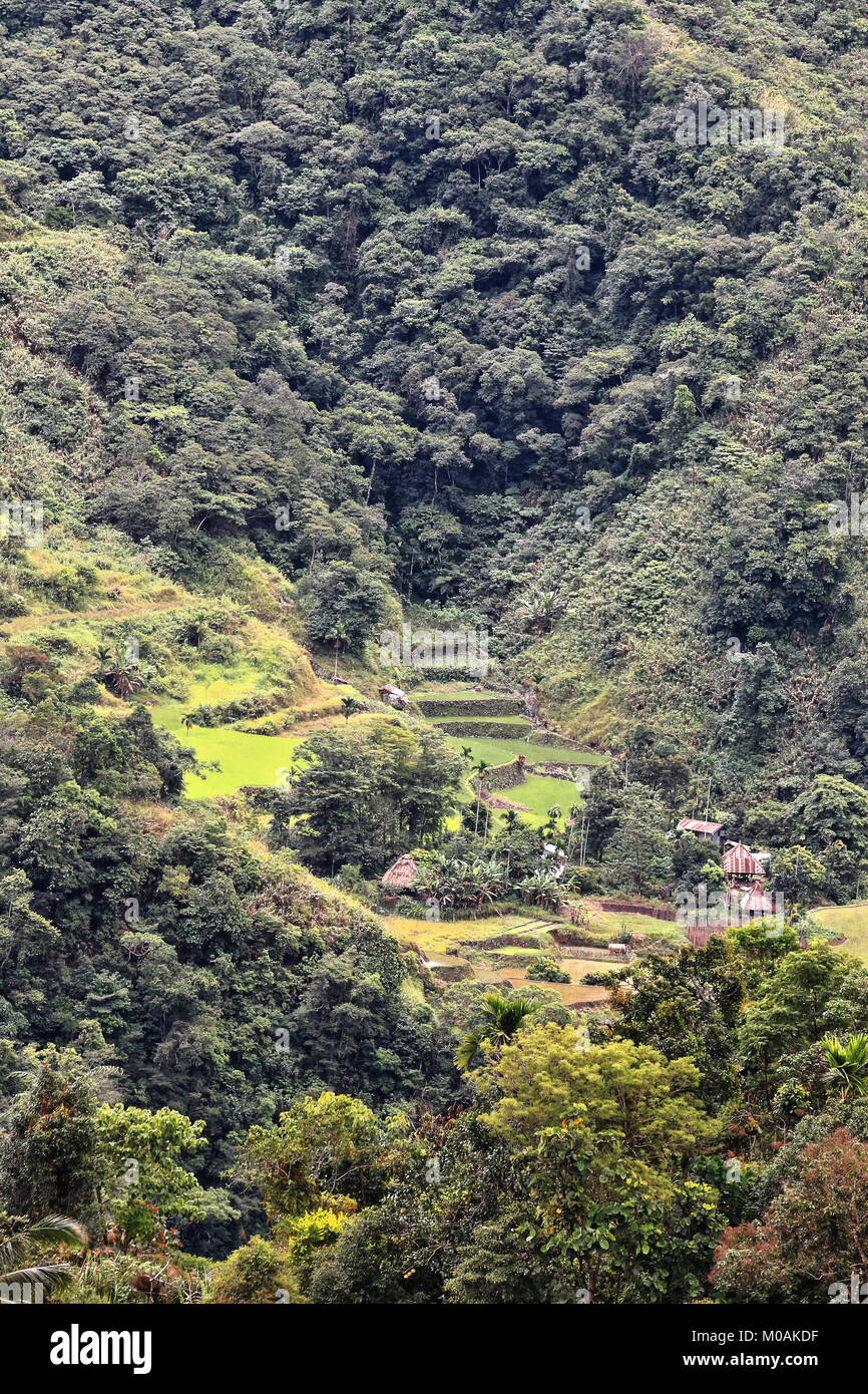 The Batad village cluster-part of the Rice Terraces of the Philippine Cordilleras UNESCO World Heritage Site in the cultural landscape category. Banau Stock Photo