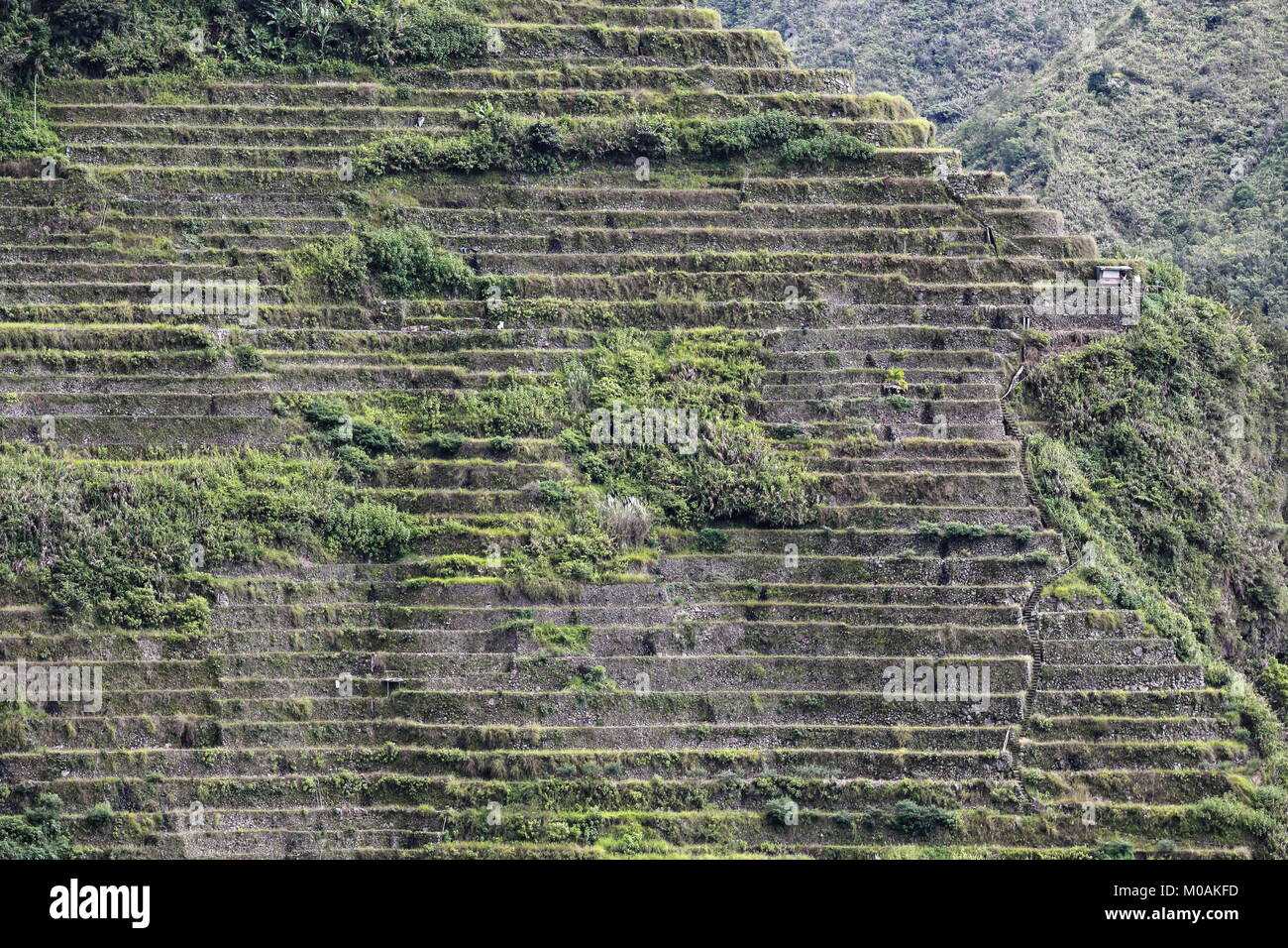 The Batad village cluster-part of the Rice Terraces of the Philippine Cordilleras UNESCO World Heritage Site in the cultural landscape category. Banau Stock Photo