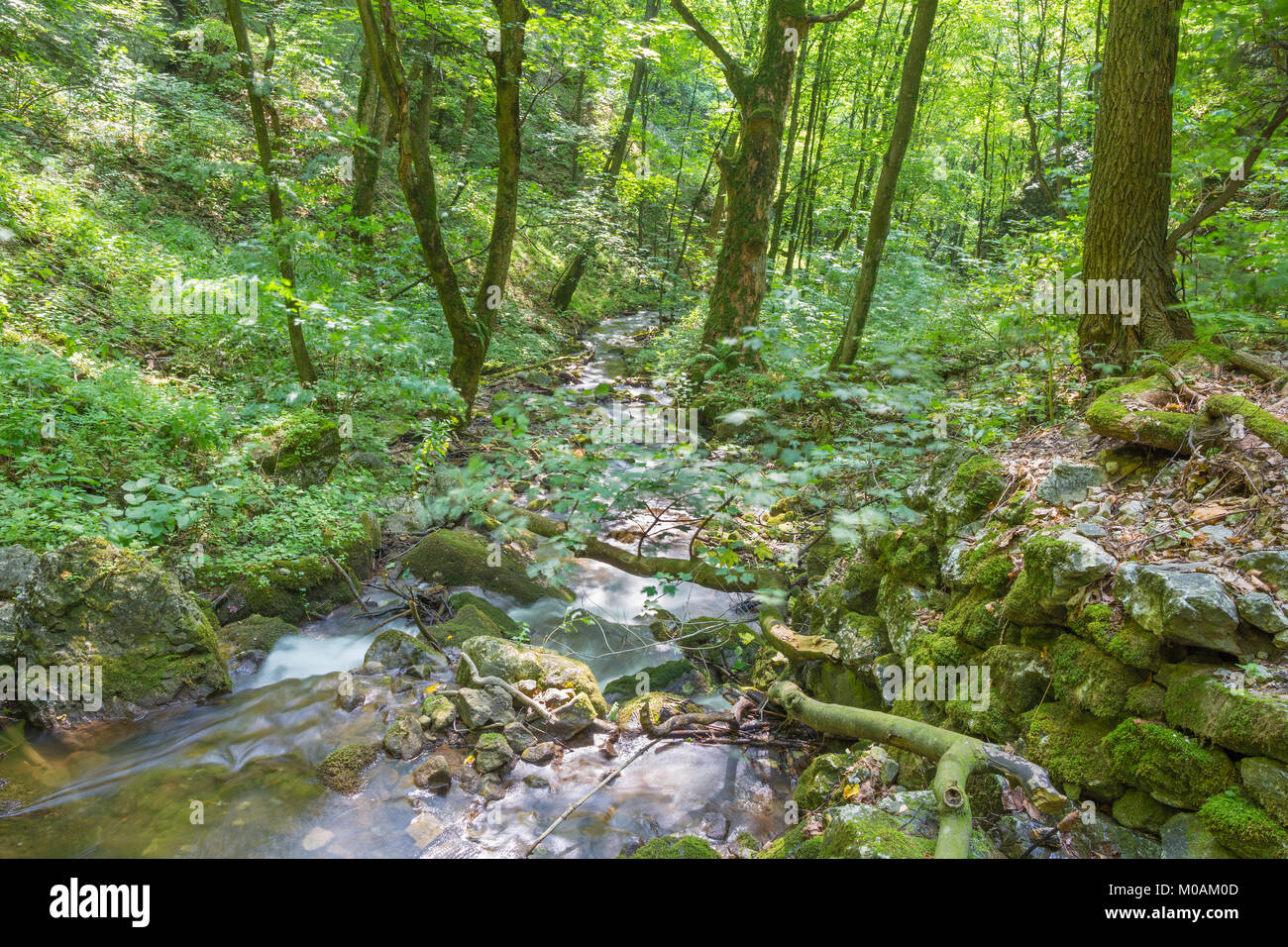 Slovakia - The creek in Zadielska valley in national park Slovensky Kras. Stock Photo