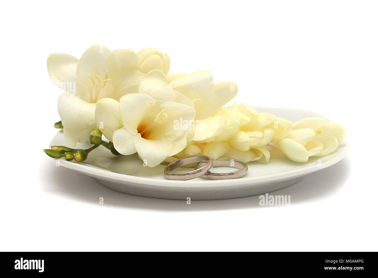 Two wedding platinum rings and flowers on a white plate Stock Photo