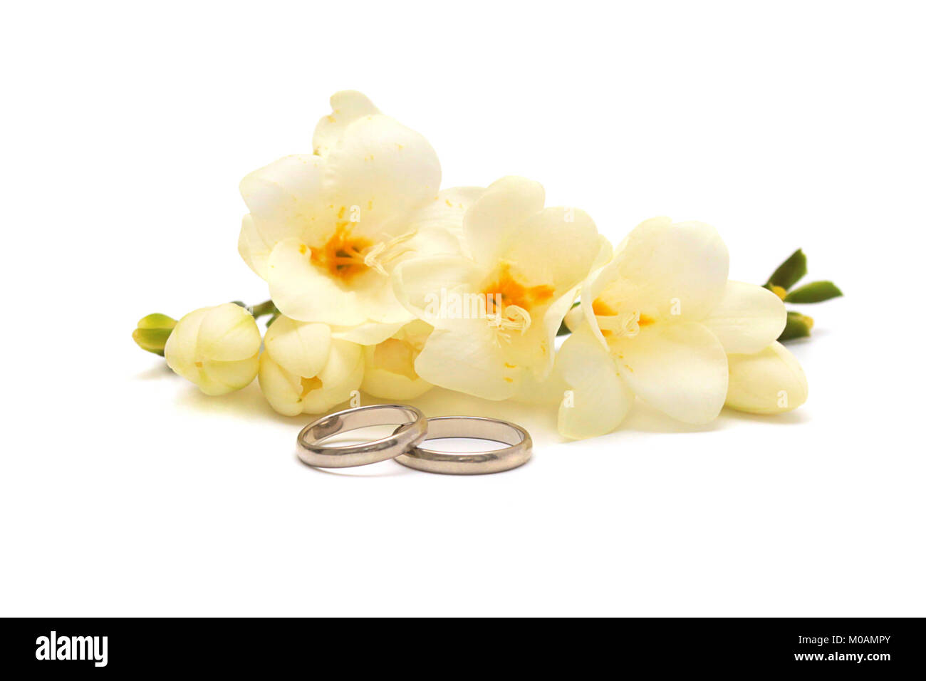 Two wedding  rings of platinum and tender flowers  on a white background Stock Photo