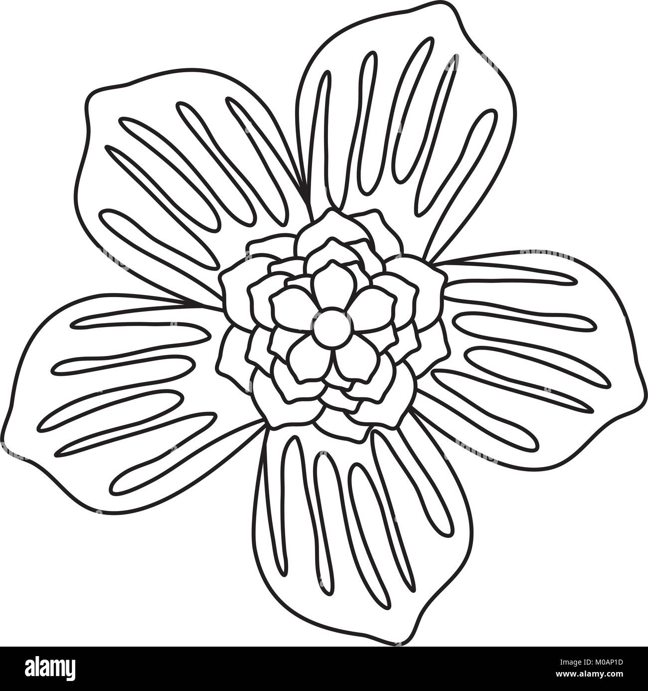tropical flowers design Stock Vector Image &amp; Art - Alamy
