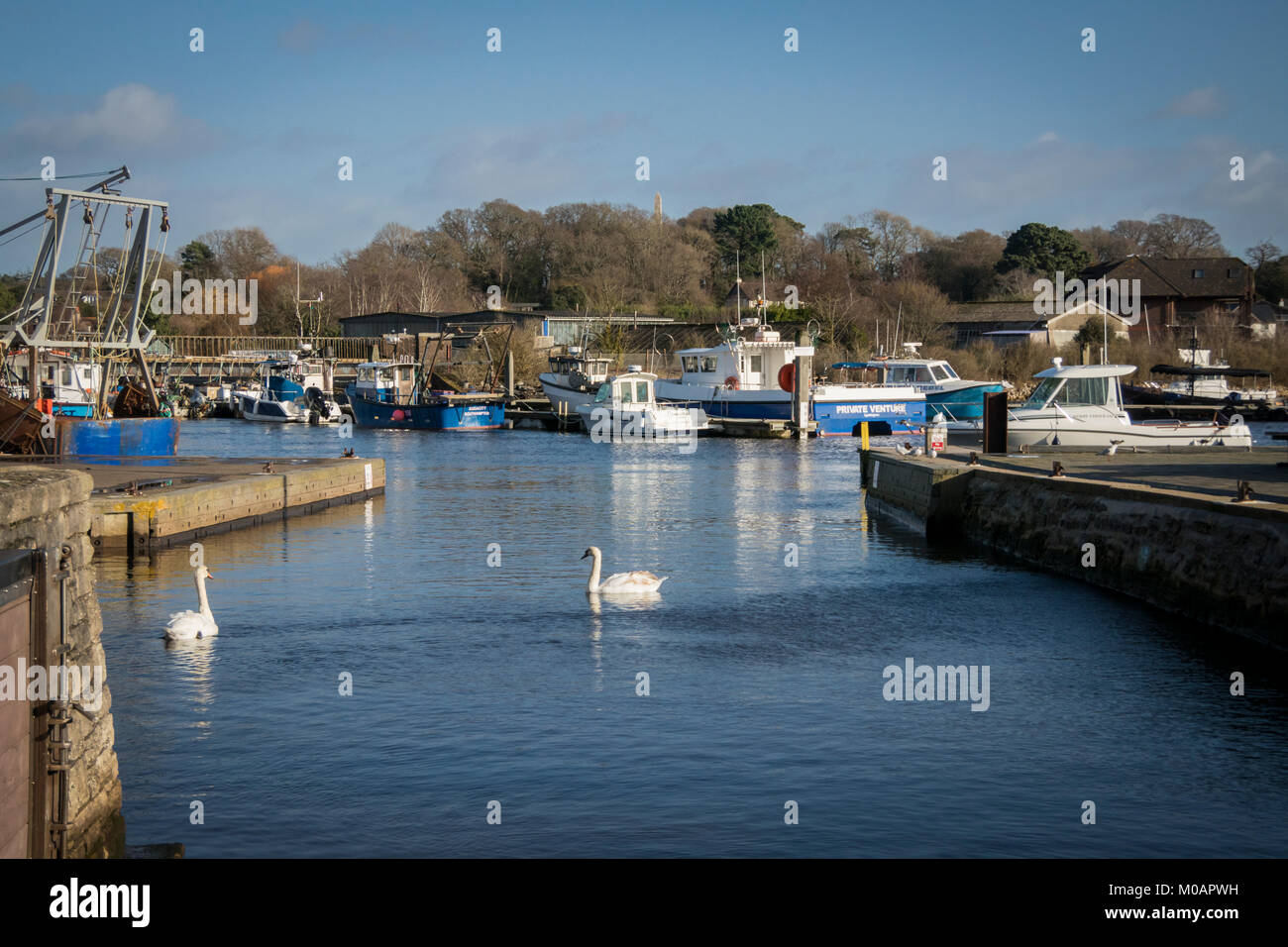 View of the harbour and swans at Lymington, New Forest, Hampshire, UK Stock Photo