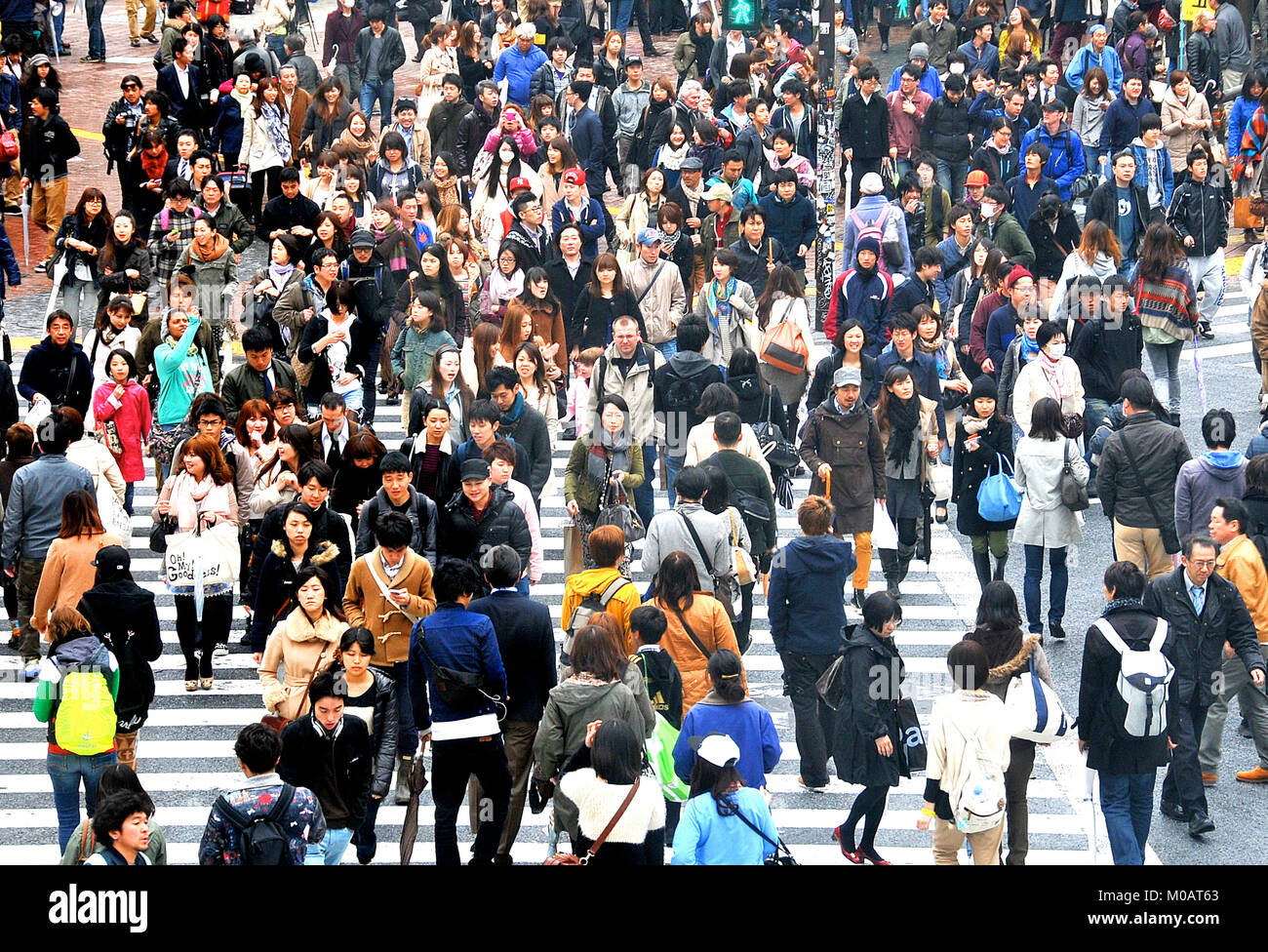 crowd crossing street, Shibuya , Tokyo,  Japan Stock Photo
