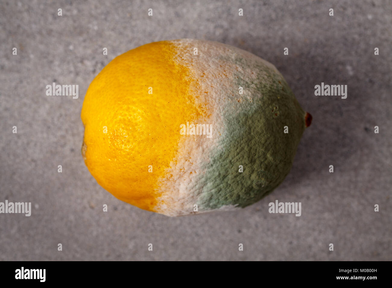 Mouldy lemon Stock Photo Alamy