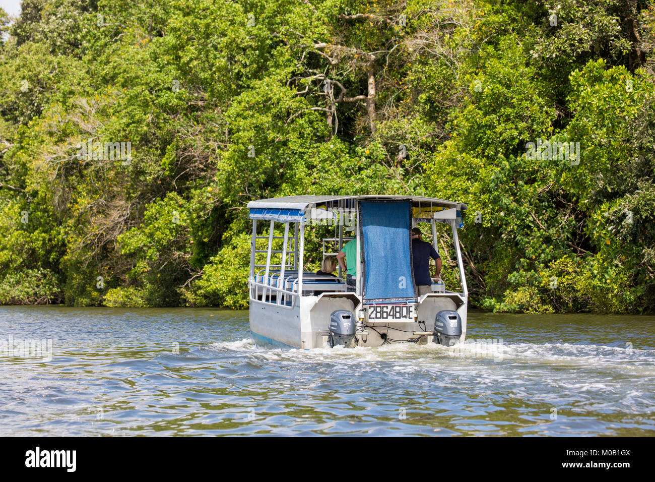 Boat tour cruise on the Daintree River seeking out wildlife and