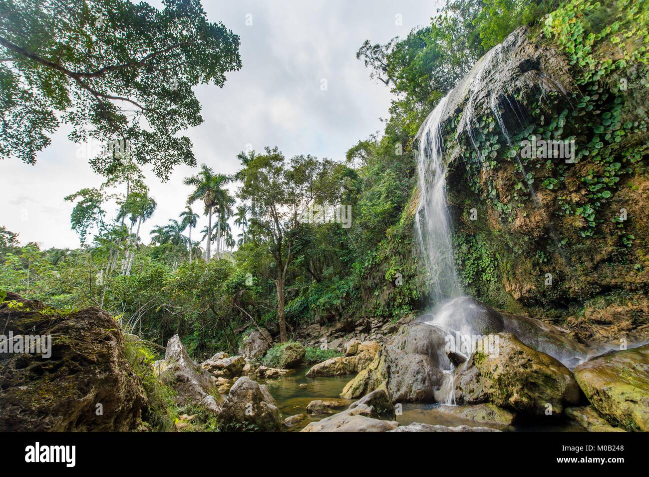 SOROA WATERFALL, Sierra Rosario Biosphere Reserve, Pinar del Rio, Cuba Stock Photo