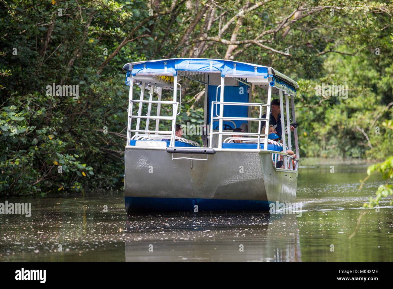 Boat tour cruise on the Daintree River seeking out wildlife and crocodiles, Daintree national park,Far north Queensland,Australia Stock Photo