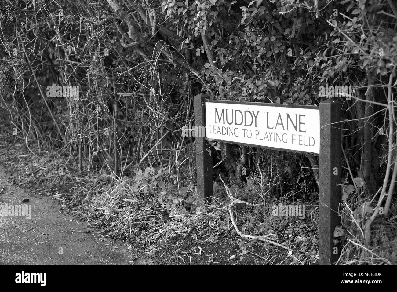January 2018 - Road sign to the Muddy lane in the rural village of Meare, Somerset, England. Stock Photo