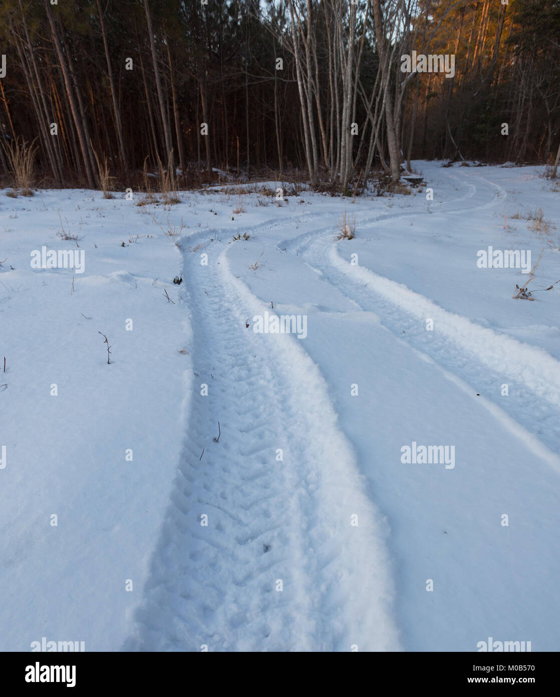 Tire tracks in a North Carolina countryside snow after the bomb cyclone