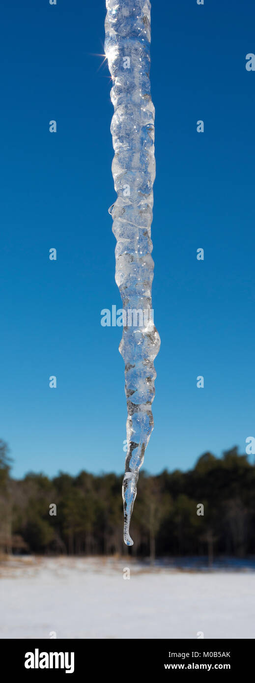 Long icicle with snow behind after the snow bomb cyclone Stock Photo