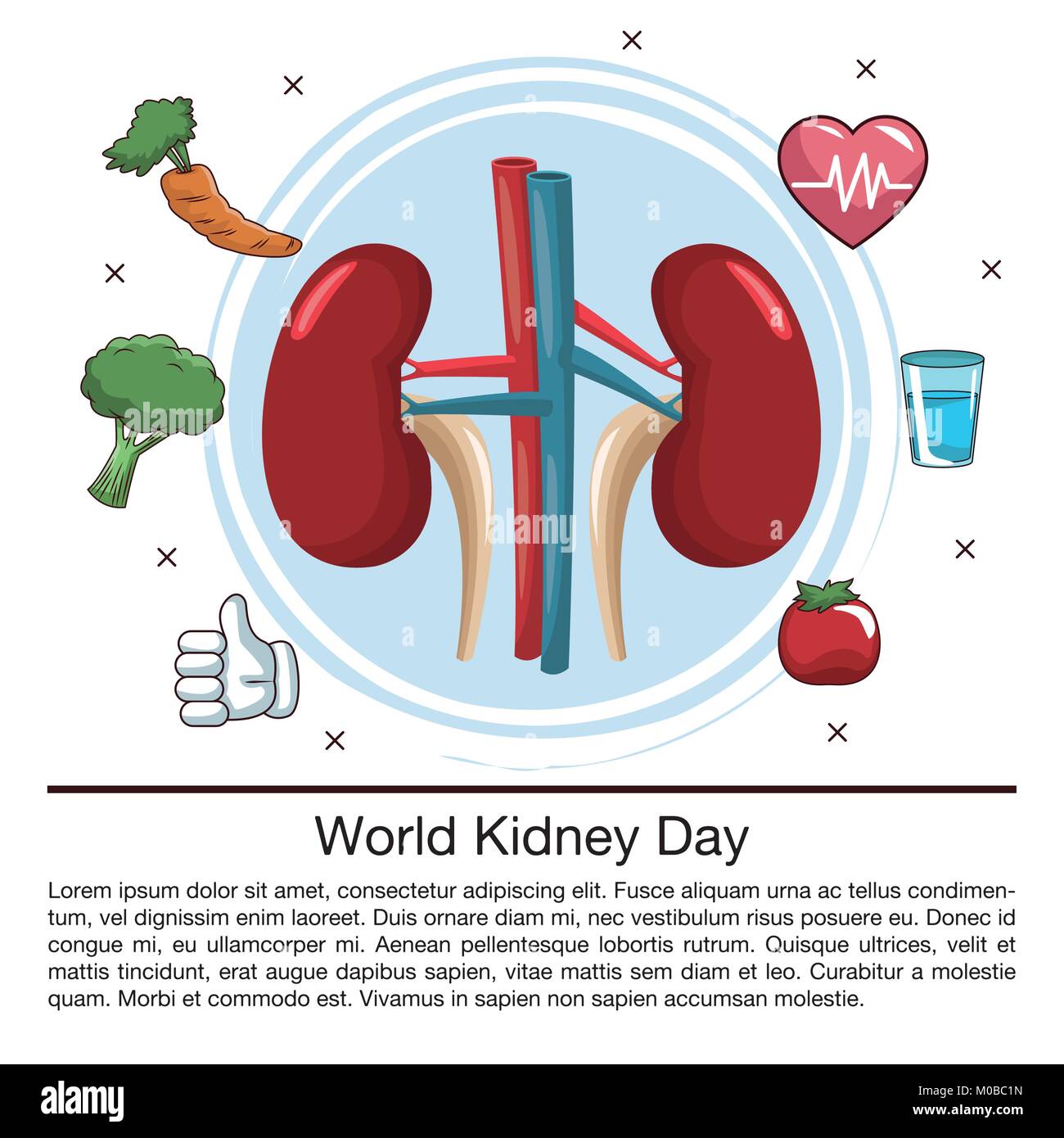 World kidney day infographic Stock Vector Image & Art - Alamy