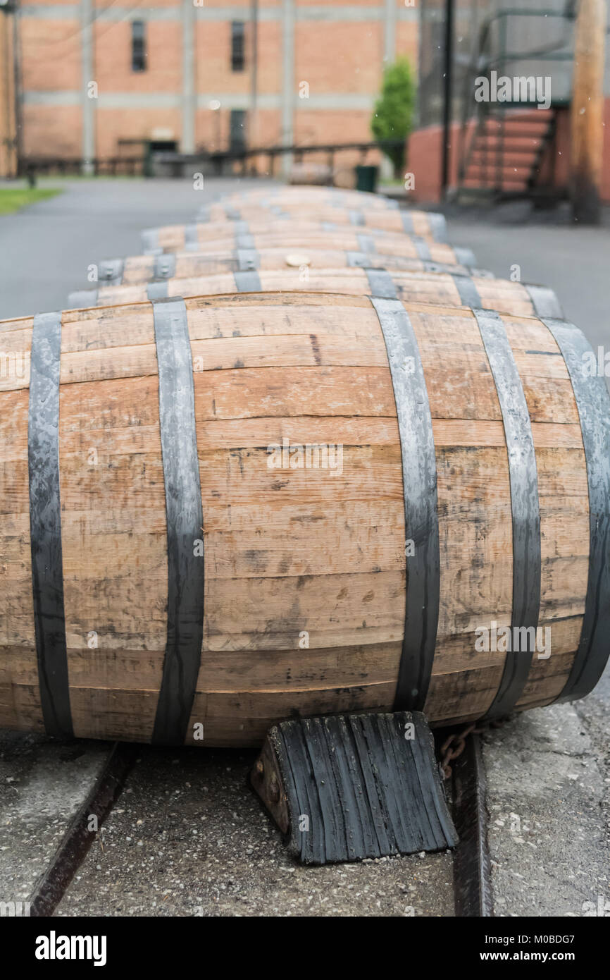 Line of Bourbon Barrels In The Rain Close Up Stock Photo