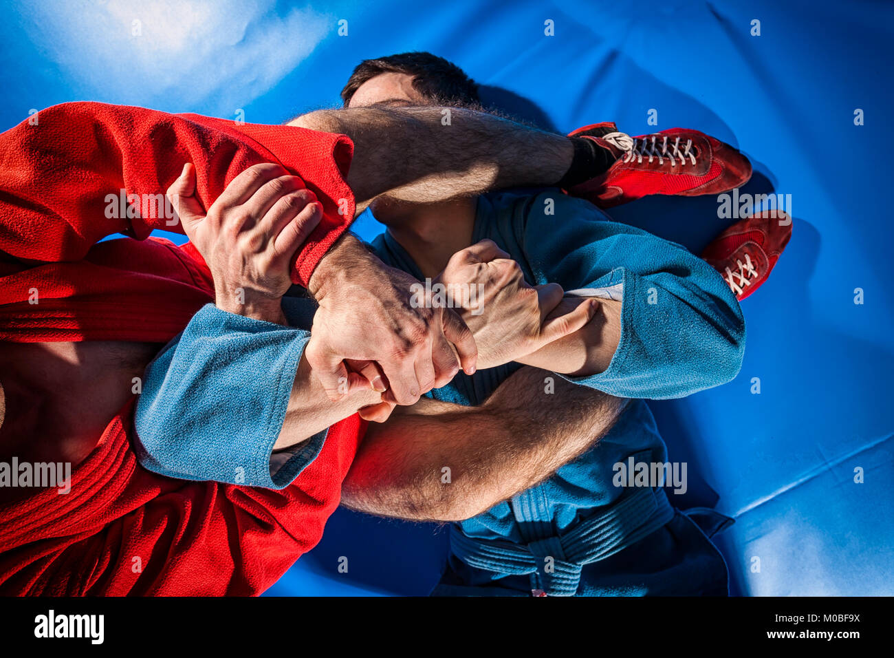 Closeup two wrestlers of grappling and jiu jitsu in a blue and red