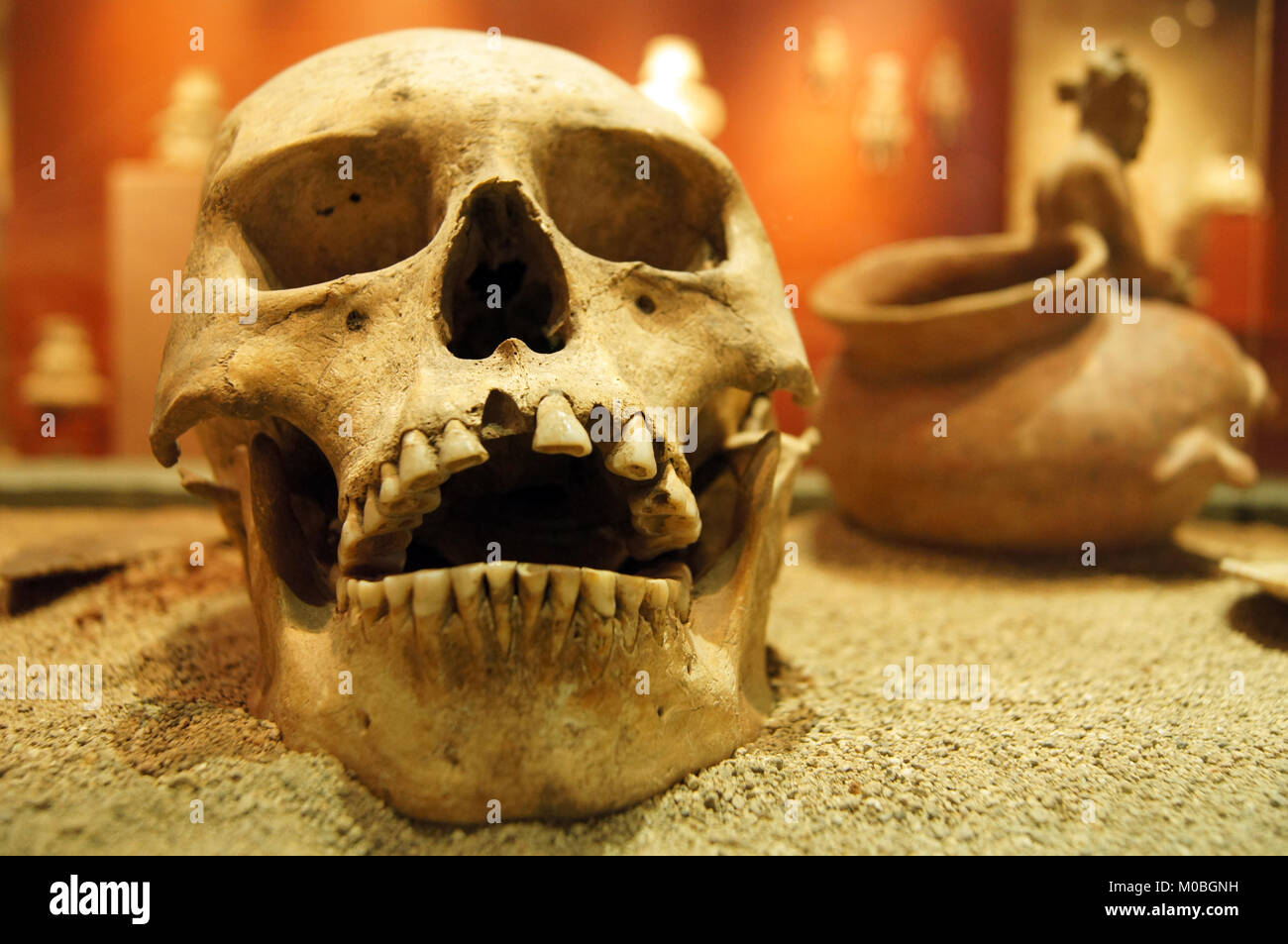 Human skul on the sand in muserum in Puebla, Mexcico Stock Photo