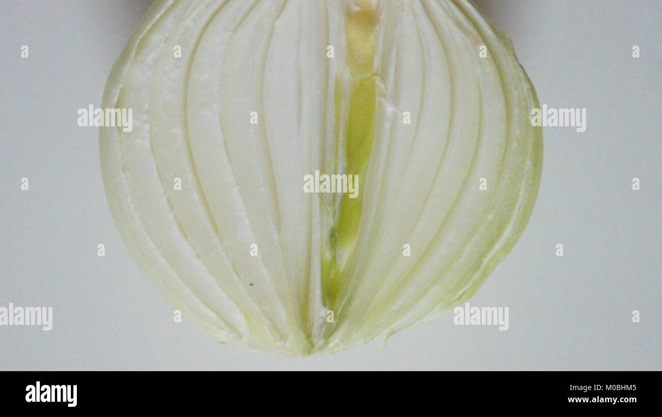 White onion slice hi-res stock photography and images - Alamy
