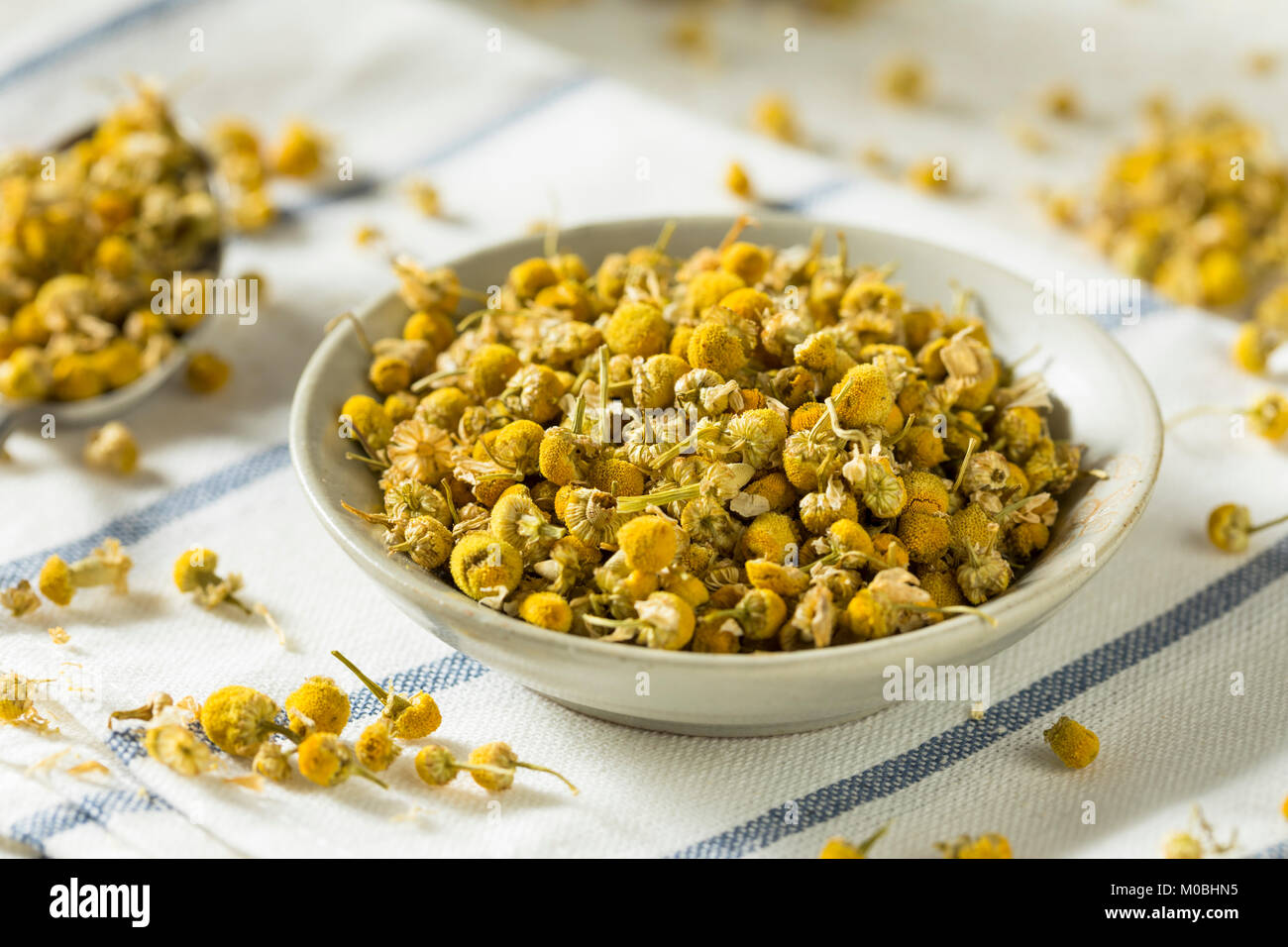 Raw Yellow Dried Organic Chamomile Tea in a Bowl Stock Photo - Alamy