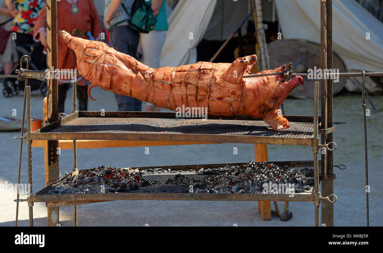 Medieval Festival: Roasted pig at the spit on an open fire Stock Photo