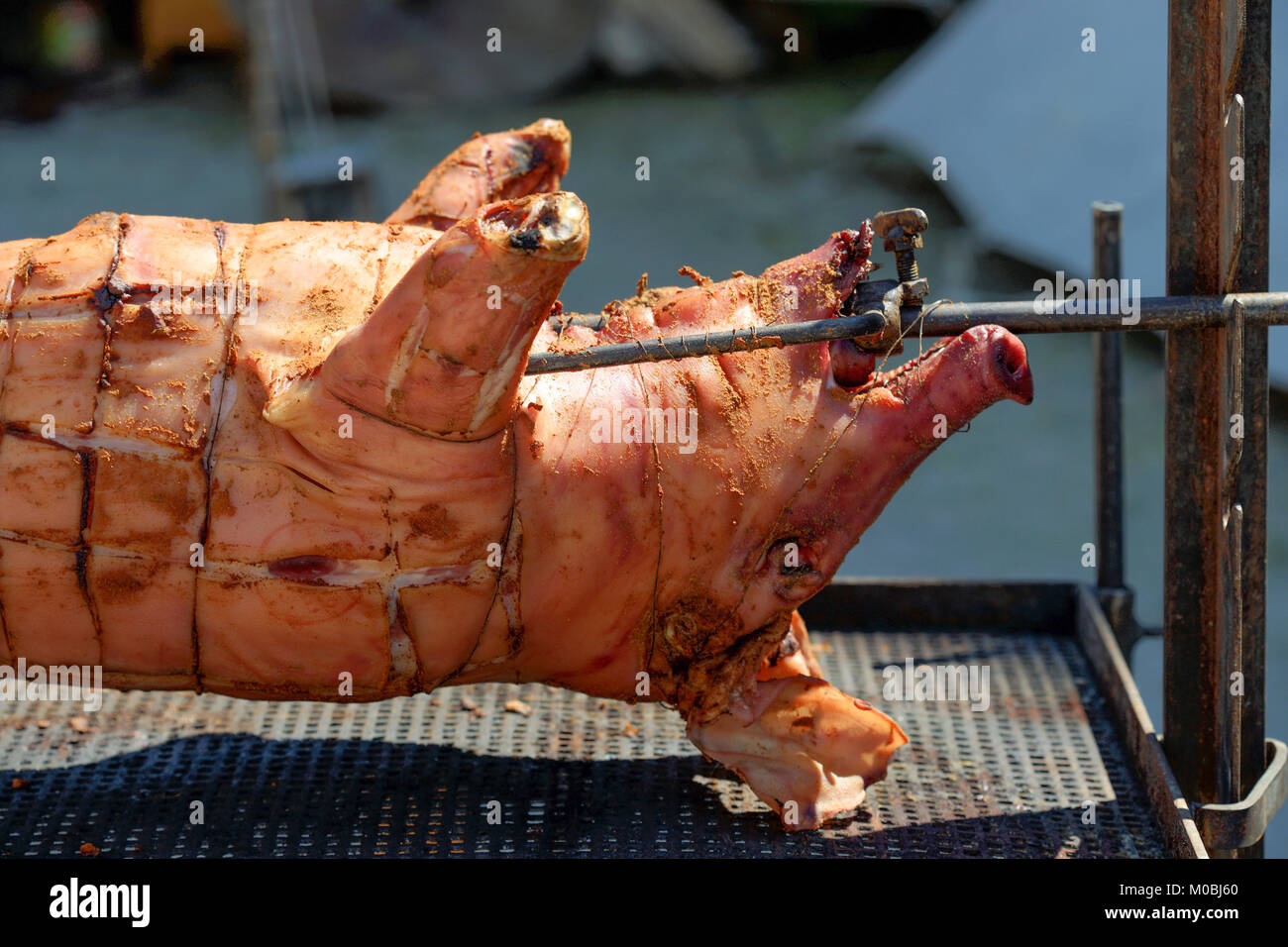 Medieval Festival: Roasted pig at the spit on an open fire Stock Photo