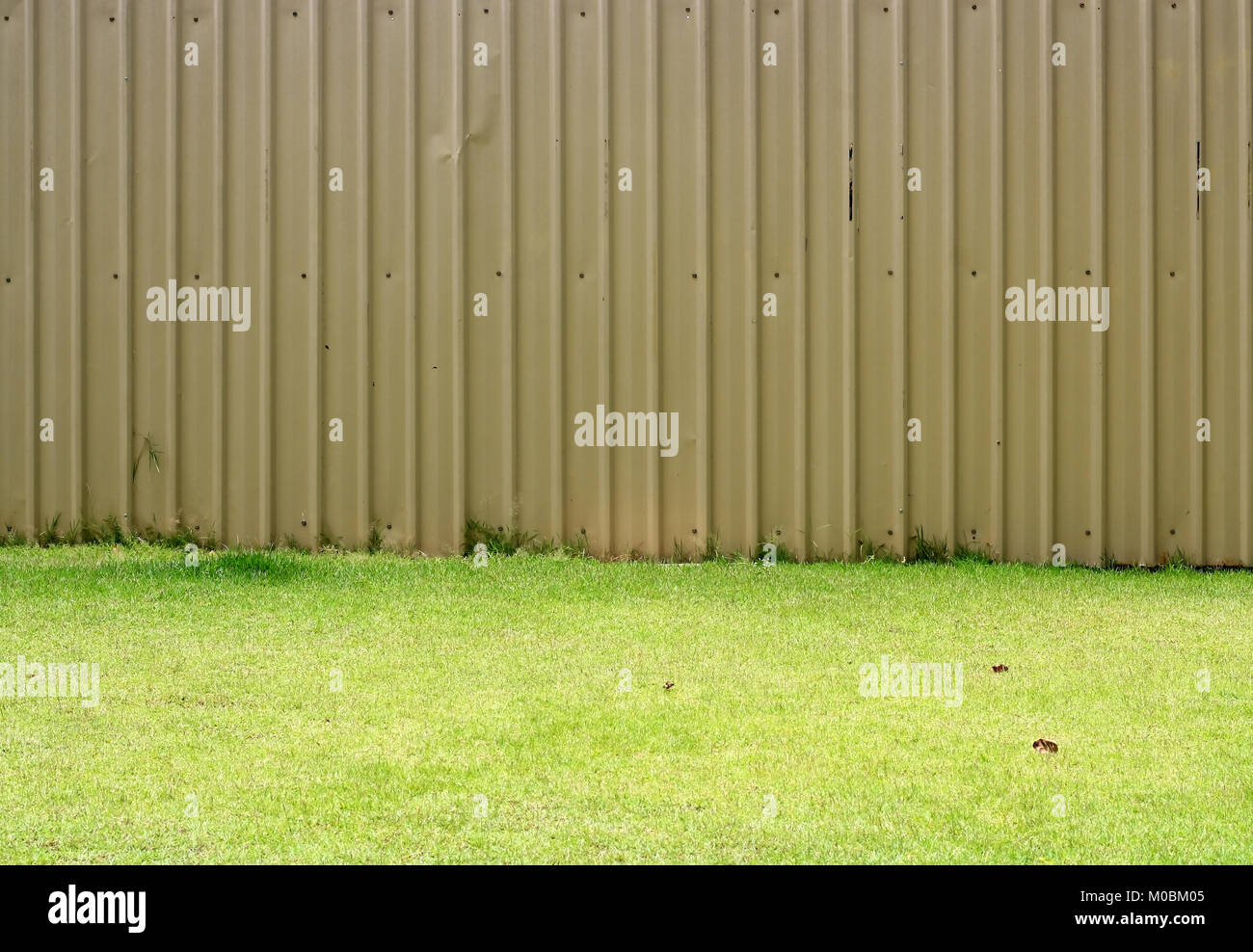 Fences and green grass Stock Photo - Alamy
