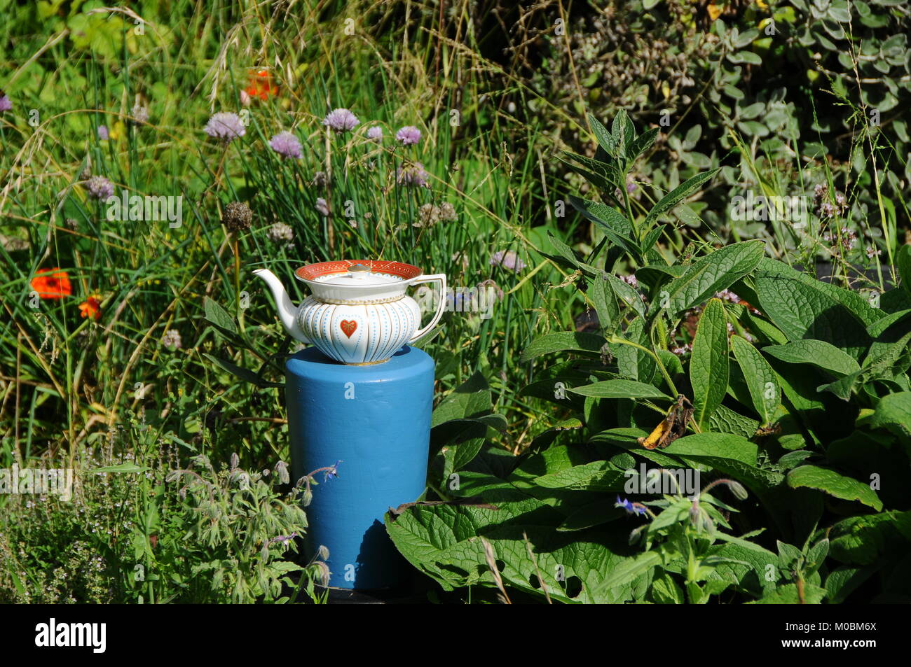 Wedgwood teapot (Queen of Hearts series) on blue pot totem in herb garden Stock Photo