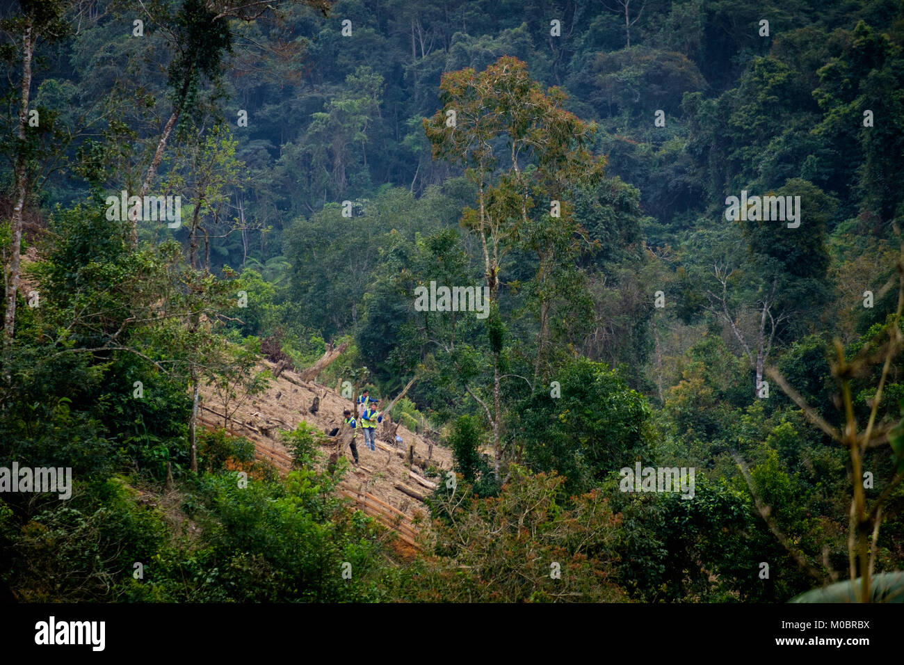 Un exploded Ordinance team works to clear UXO in Sekong Province Laos ...