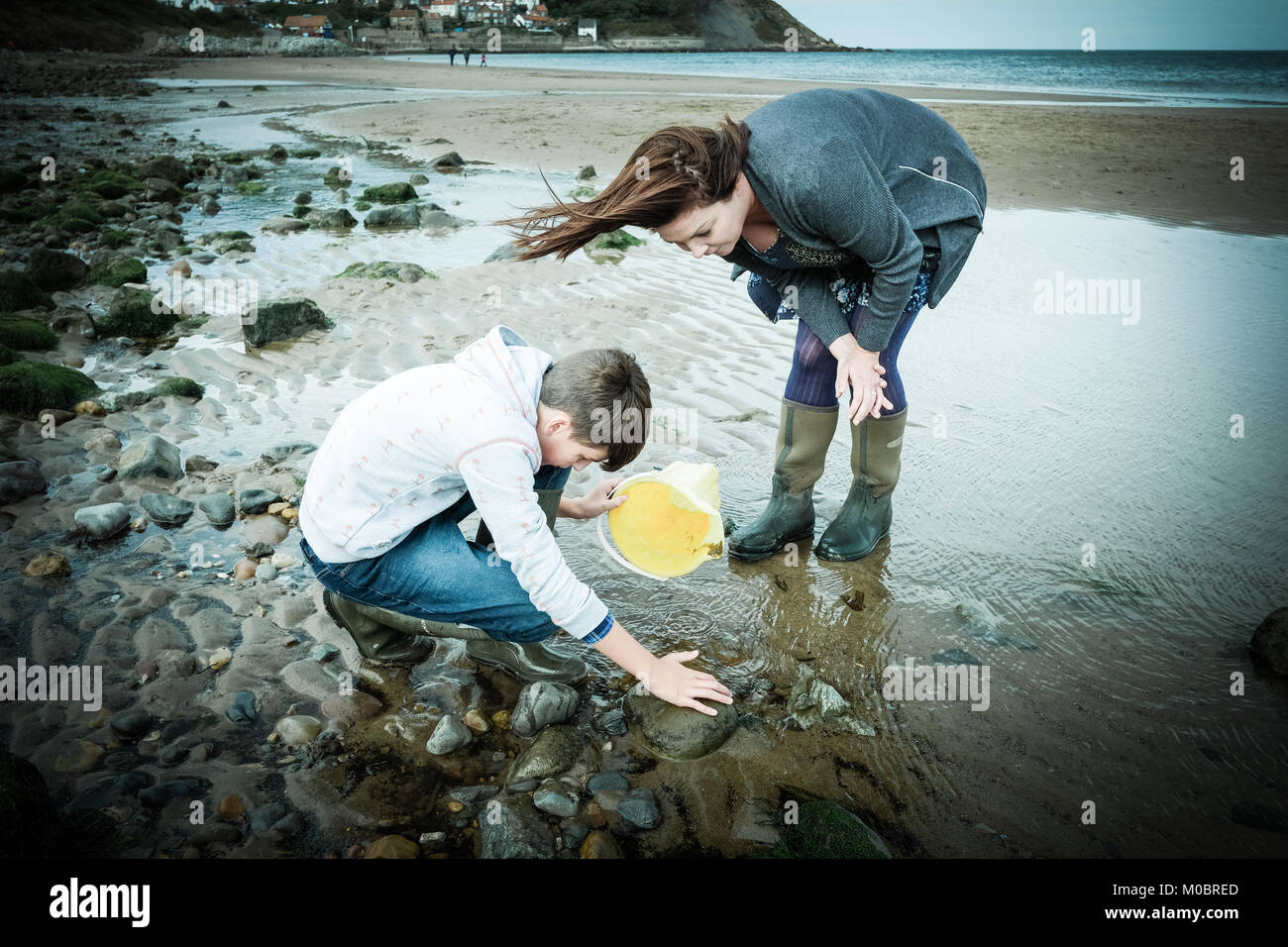 Mother and son, crabbing, fishing, rock pool, Runswick Bay, Yorkshire