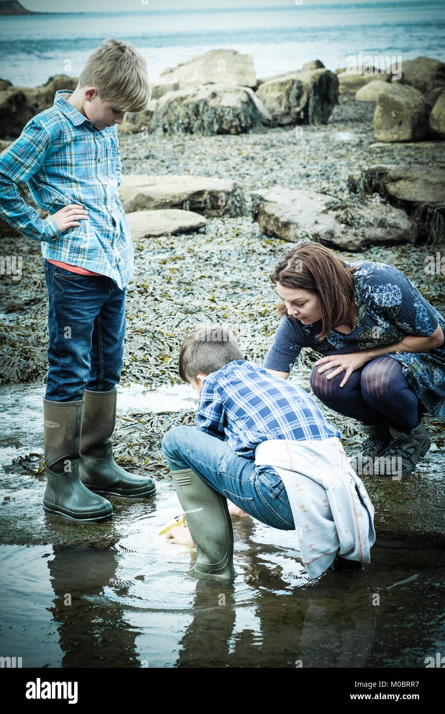 Mother and sons, two boys, crabbing, fishing, rock pool, Runswick Bay