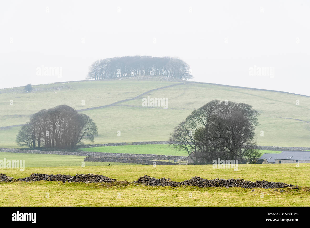 Grazing land as seen from the Tissington trail in mid winter on the
