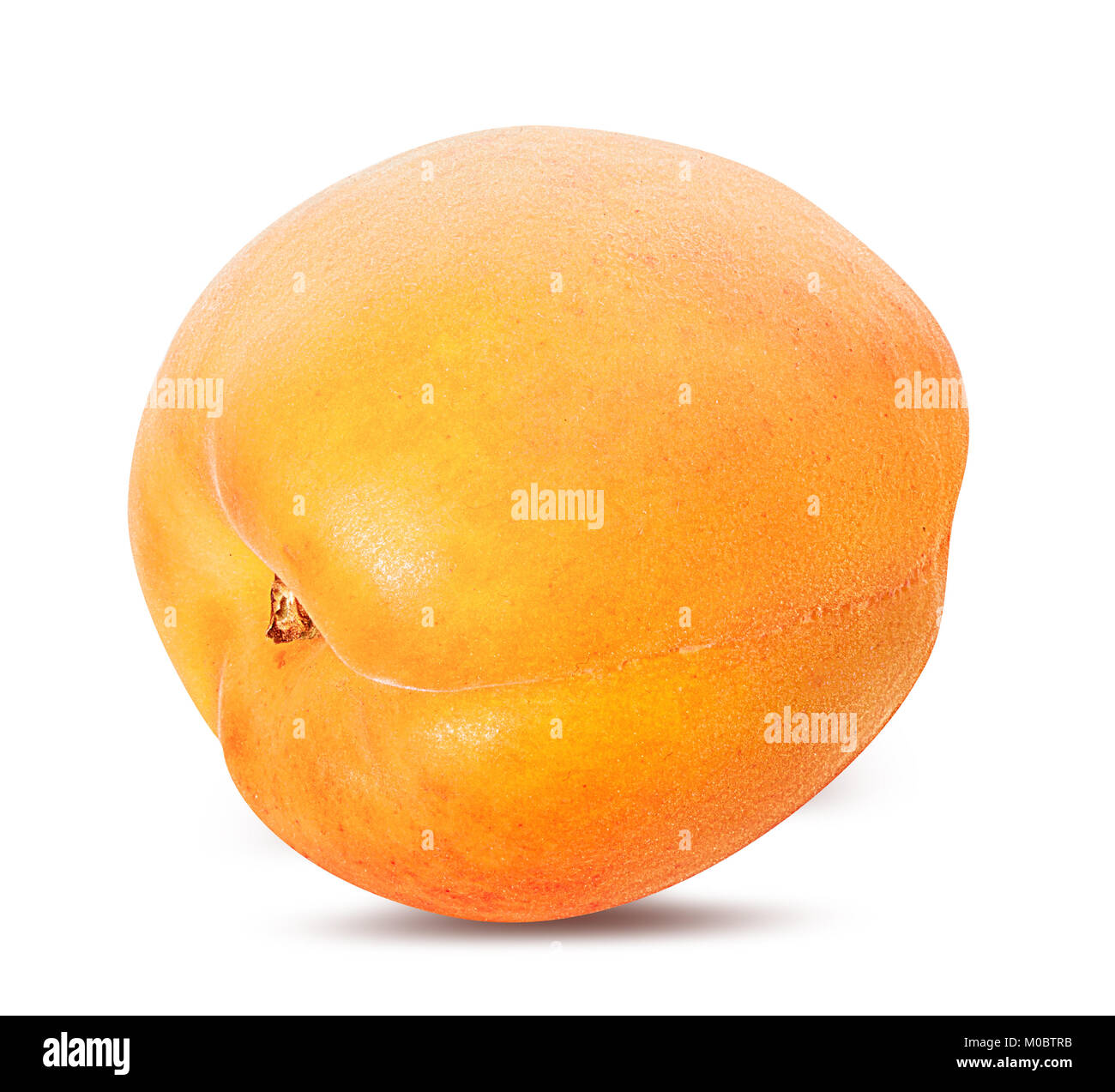 apricot isolated on white background Stock Photo - Alamy