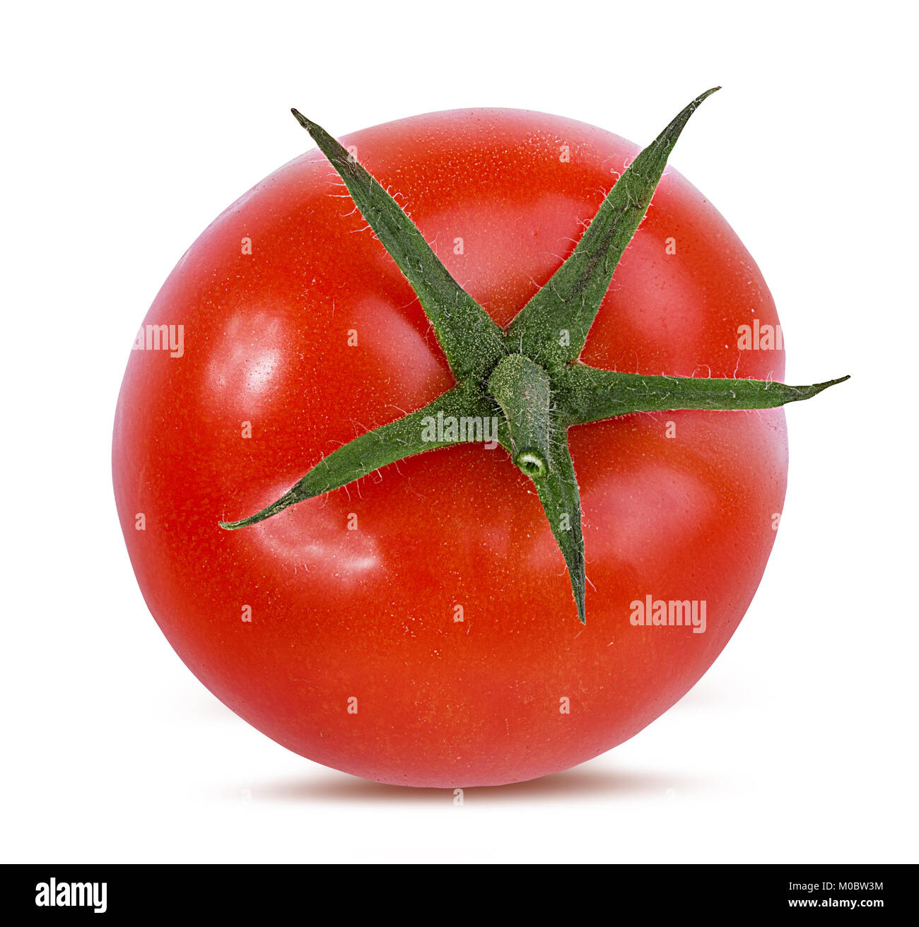 tomato isolated on white background Stock Photo - Alamy