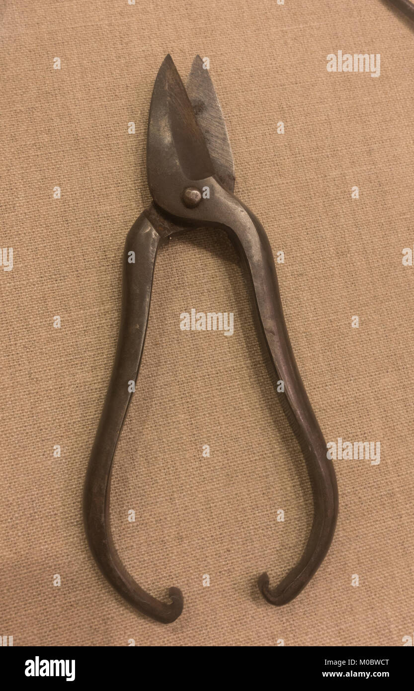 Bone cutting scissors on display in the Visitor Center at Valley Forge  National Historical Park, Pennsylvania, United States Stock Photo - Alamy