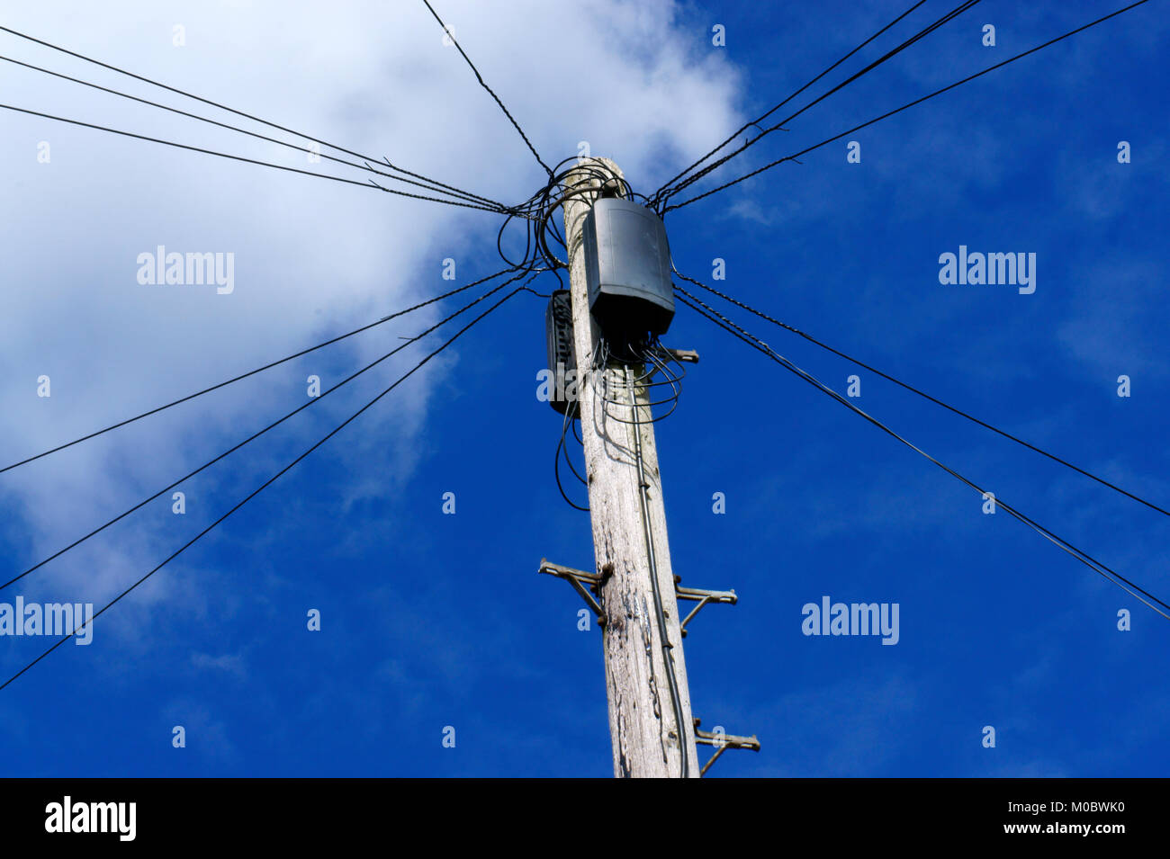 Closeup of Telegraph Pole Stock Photo Alamy