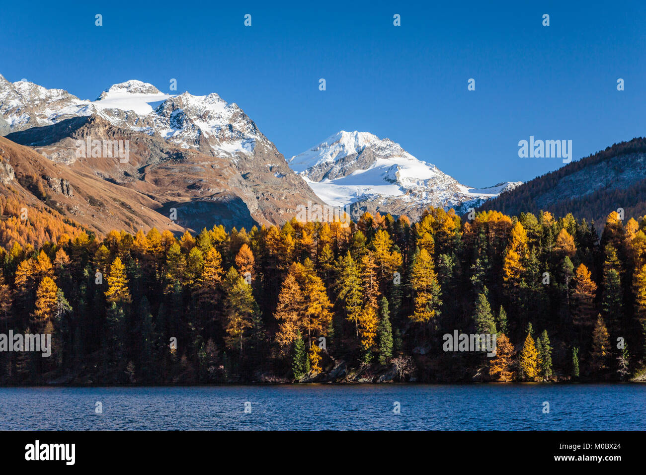 Swiss alps mountains with larch trees in the autumn season near the Julier Pass, Switzerland, Europe. Stock Photo