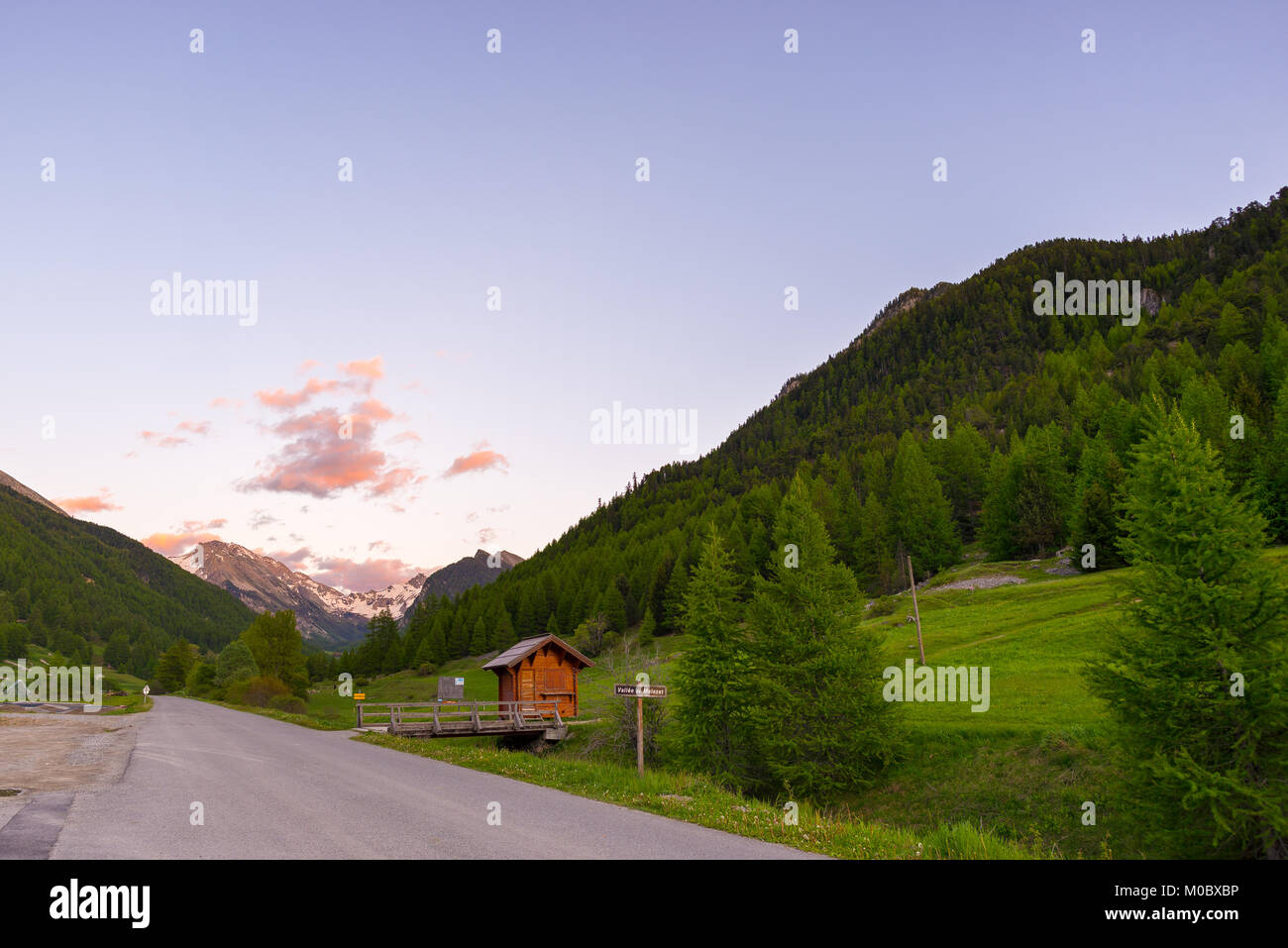 Summer in the Alps. Blooming alpine meadow and lush green woodland set ...