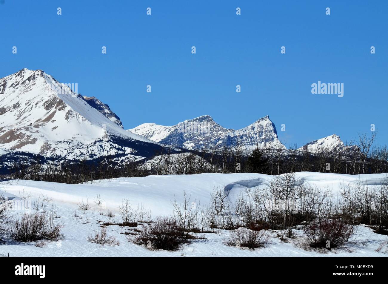 A wonderful winter scene with snow covered mountains in the background Stock Photo