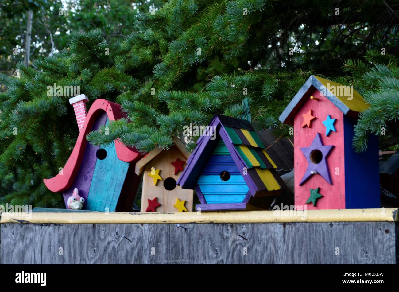 Brightly colored painted birdhouses sitting in a row, underneath a green spruce tree. Stock Photo