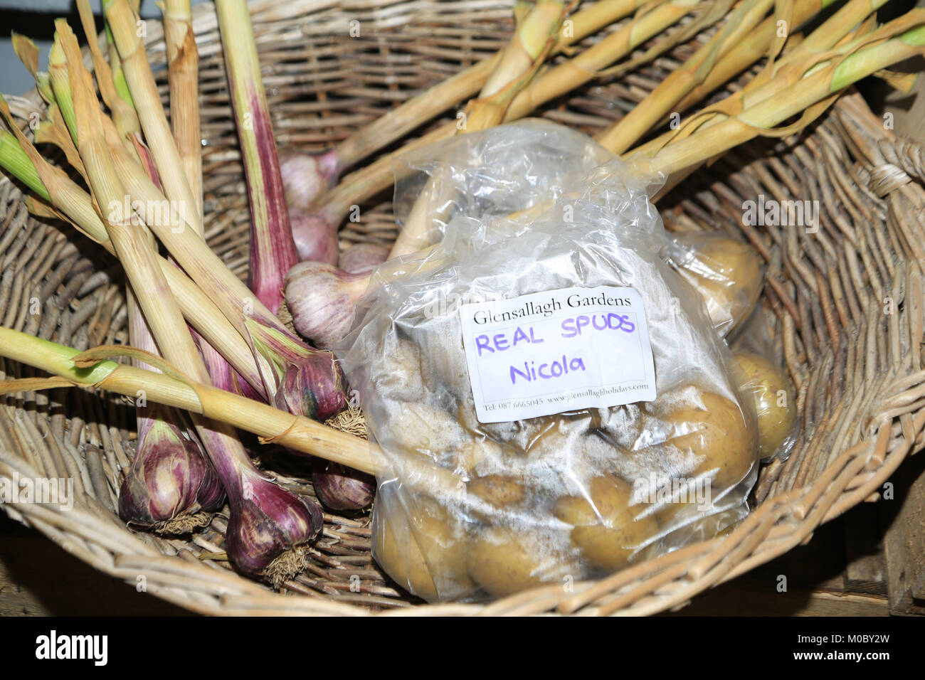 Bags Onion Potato Farmers Market Stock Photo 505053250