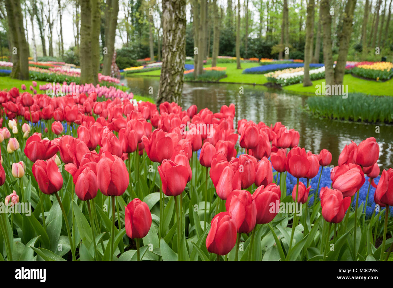 keukenhof garden stationsweg lisse niederlande