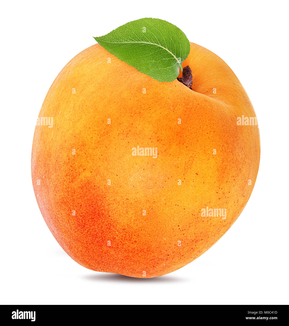 apricot isolated on white background Stock Photo - Alamy