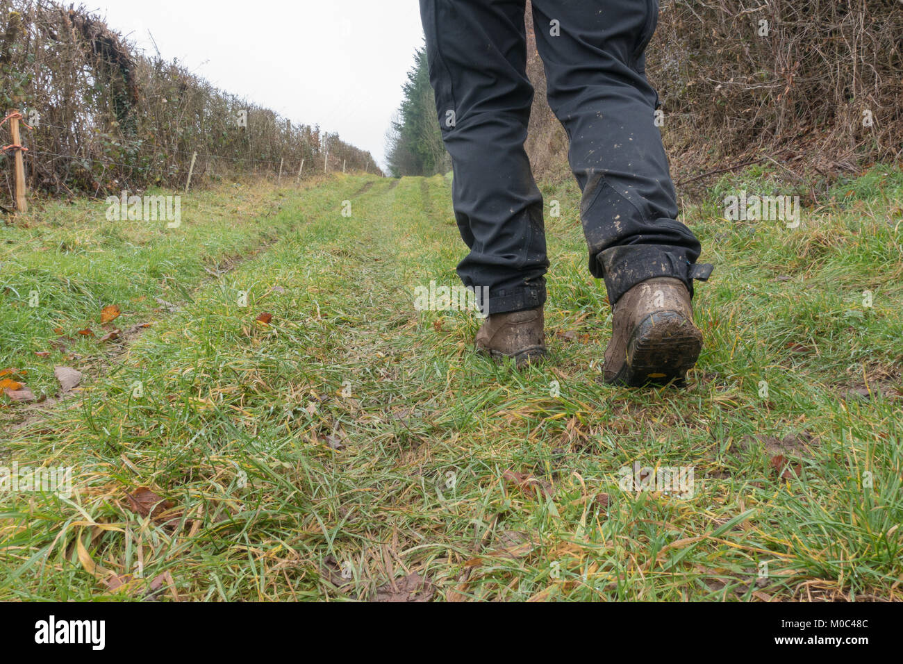 Legs of a woman walking in the  countryside clearly showing muddy hiking boots and dirty trousers Stock Photo
