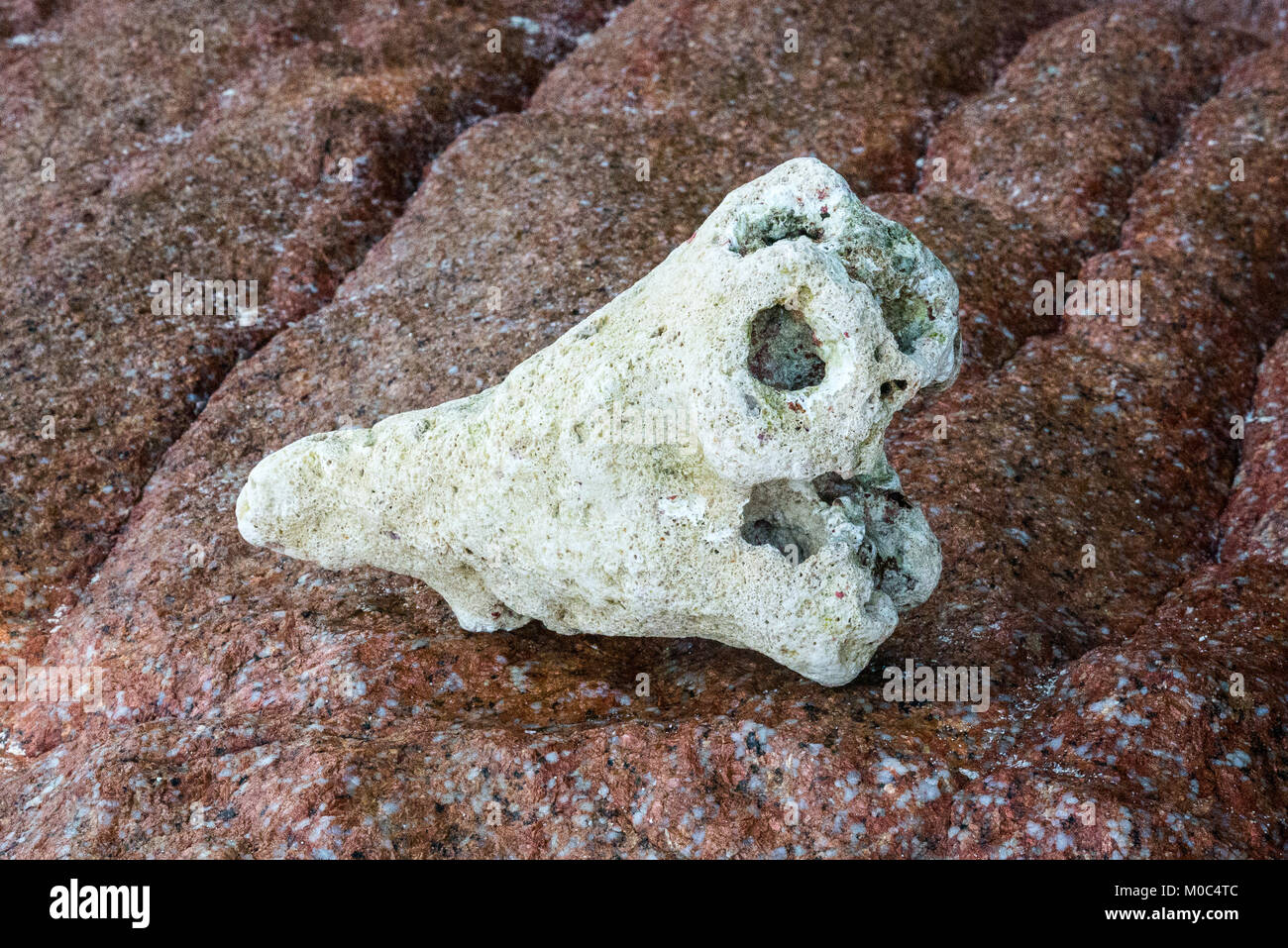 Strange rock group hi-res stock photography and images - Alamy