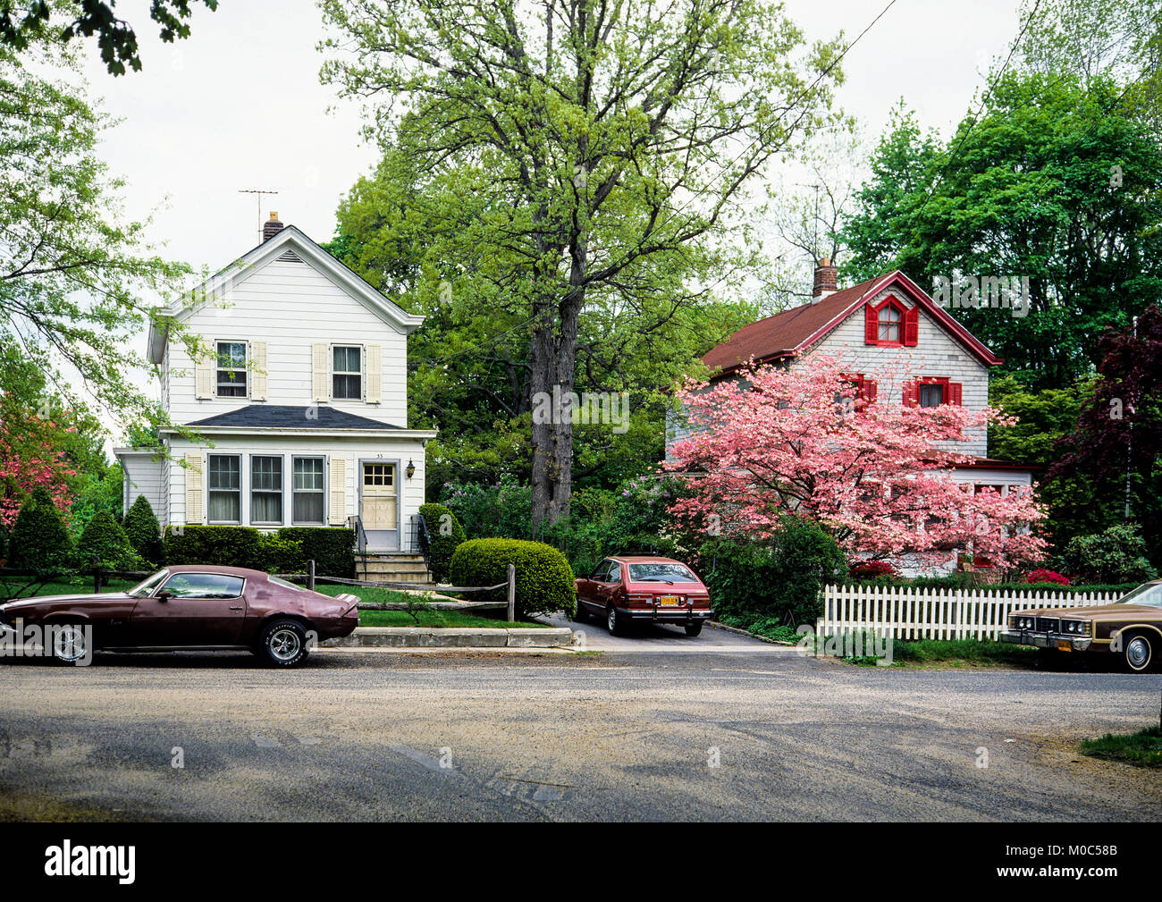 May 1982, white and red wooden detached houses, blooming pink dogwood tree, parked cars, spring, Long Island, New york, NY, USA, Stock Photo