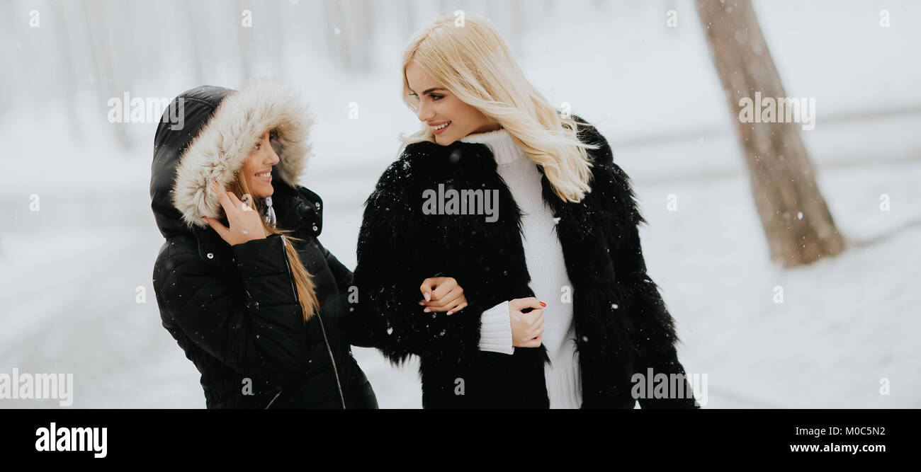 Portrait of two young women in a winter park Stock Photo - Alamy