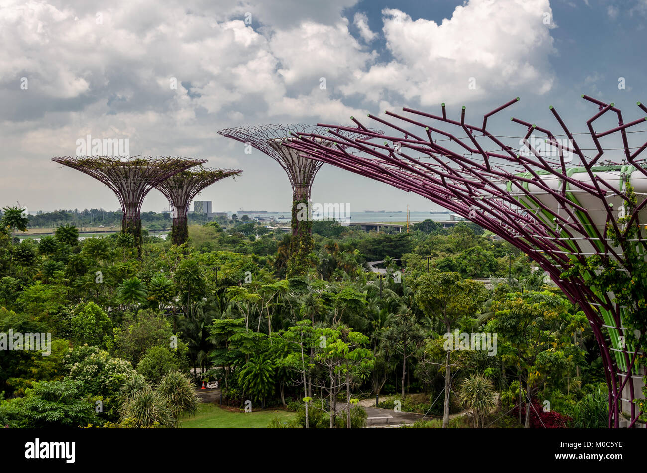 view of the garden from the OCBC skyway. Singapore. future. asia. Stock Photo