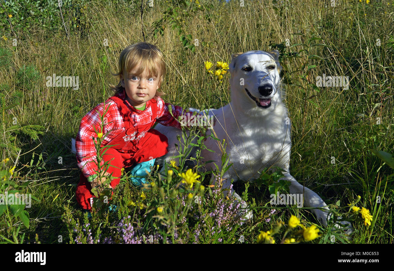 Little girl and dog on summer day in the forest Stock Photo - Alamy