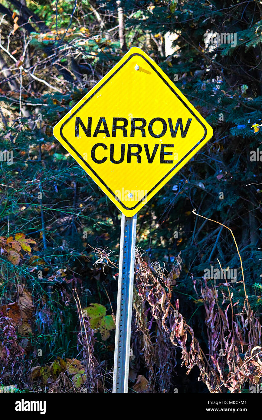 A yellow Narrow Curve sign with trees in the background Stock Photo