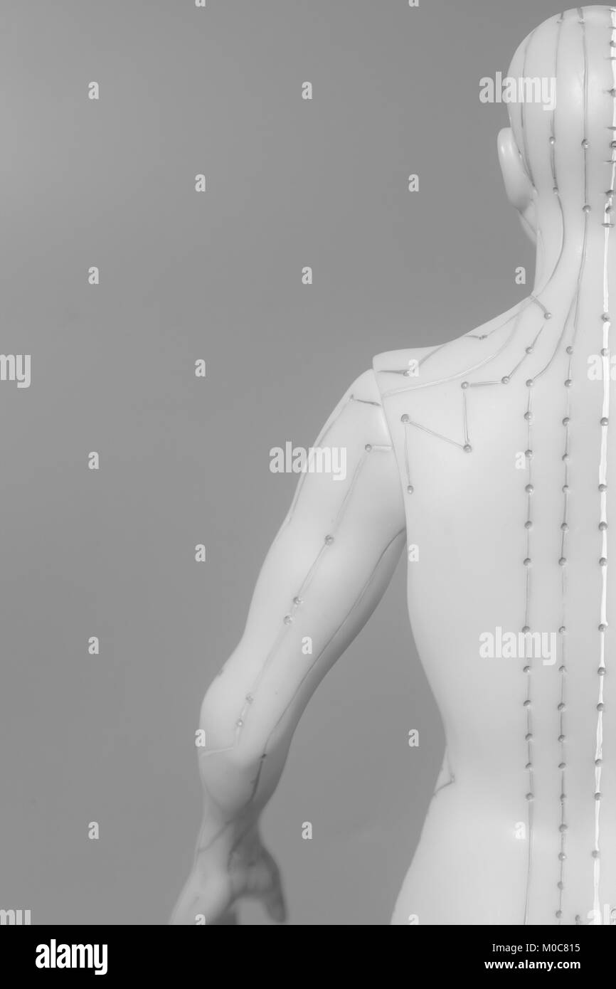 Acupuncture meridians Black and White Stock Photos & Images Alamy