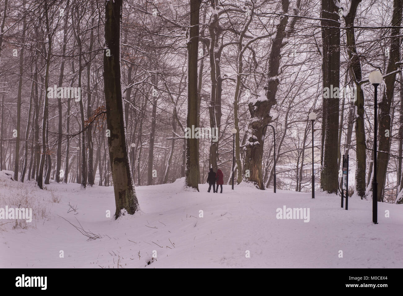 Park in winter time. Path in the snowy park. Trees covered with snow in ...